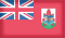 Try Binary Options - Bermuda